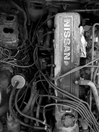Illustration for article titled What’s This Engine Bay: Merry Owners And Squirrels Edition